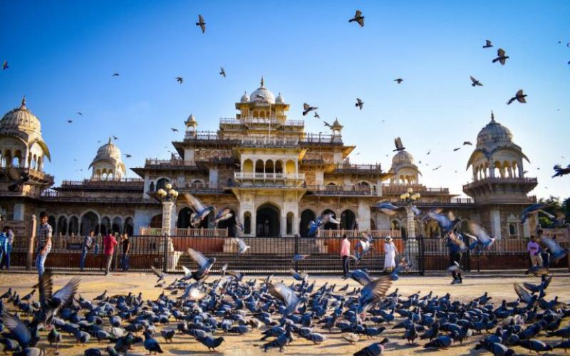 Albert Hall Museum - Jaipur