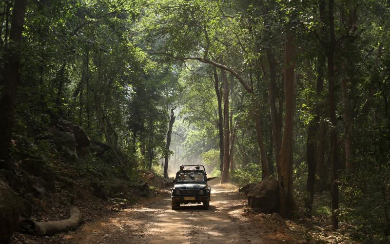 Bandhavgarh