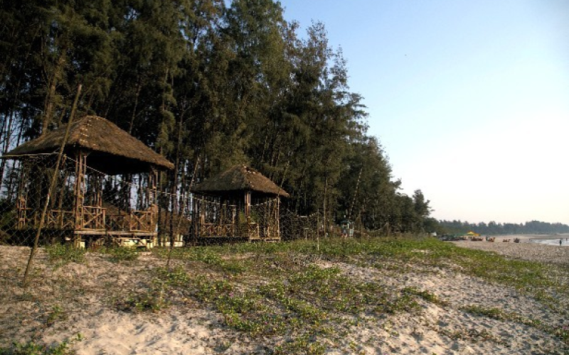 Tarkarli Beach