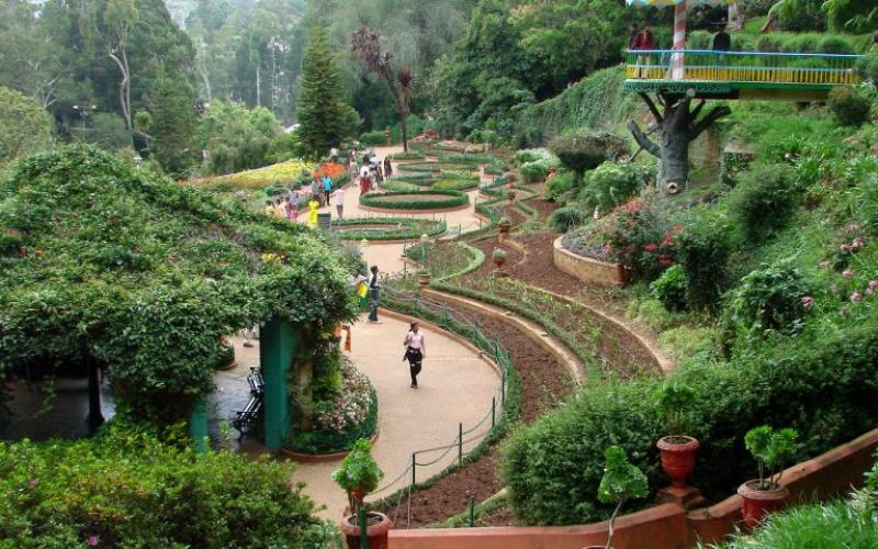 BOTANICAL GARDEN, OOTY