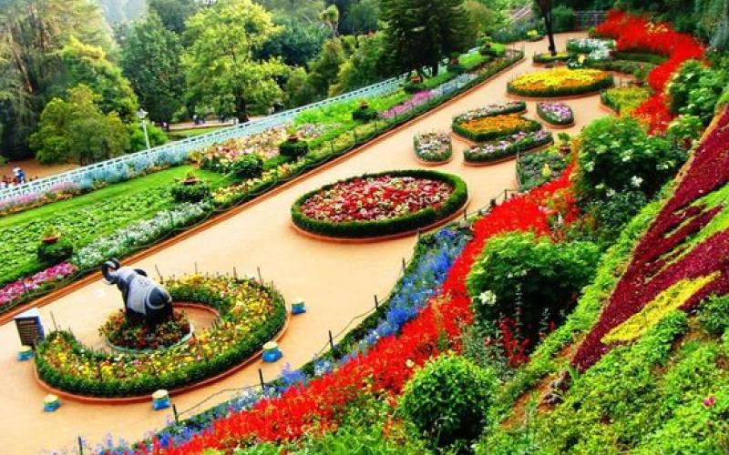 BOTANICAL GARDEN, OOTY