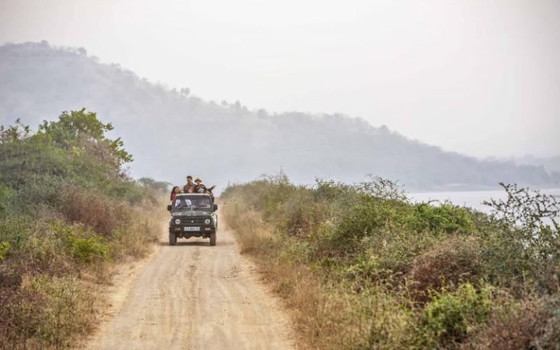 Gir National Park - Sasan Gir