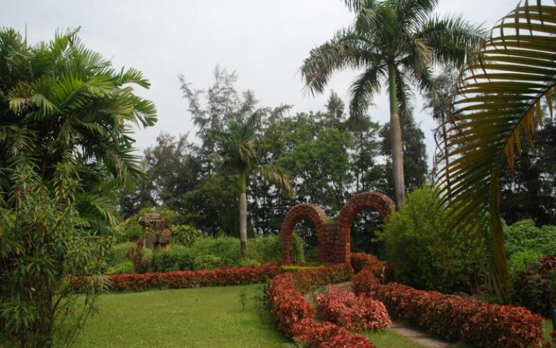 Hirwa Van Garden