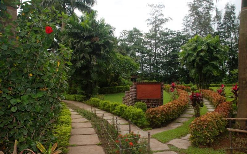 Hirwa Van Garden