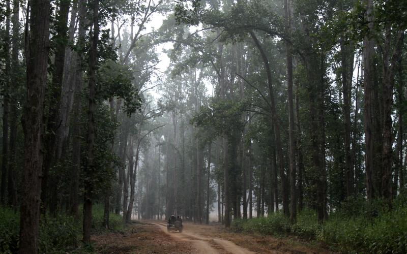 Kanha National Park