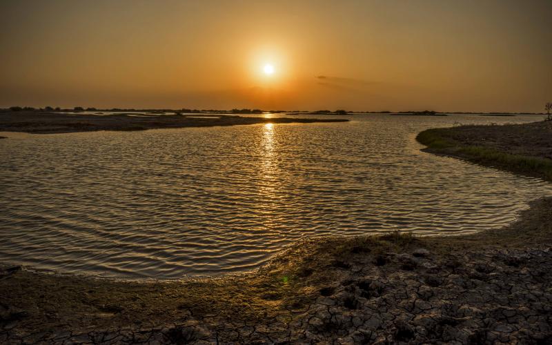 Little Rann of Kutchh