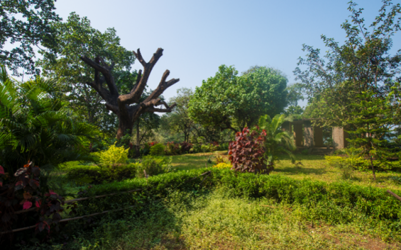 Sanjay Gandhi National Park