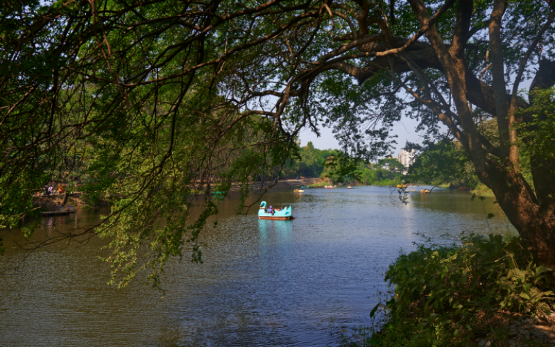 Sanjay Gandhi National Park