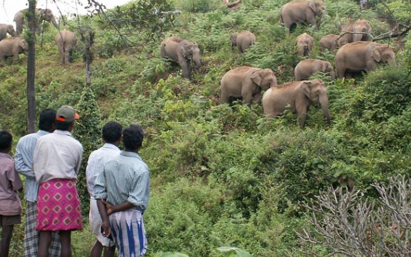 VALPARAI