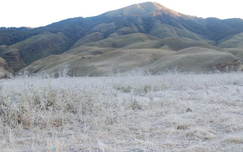 DZUKOU VALLEY