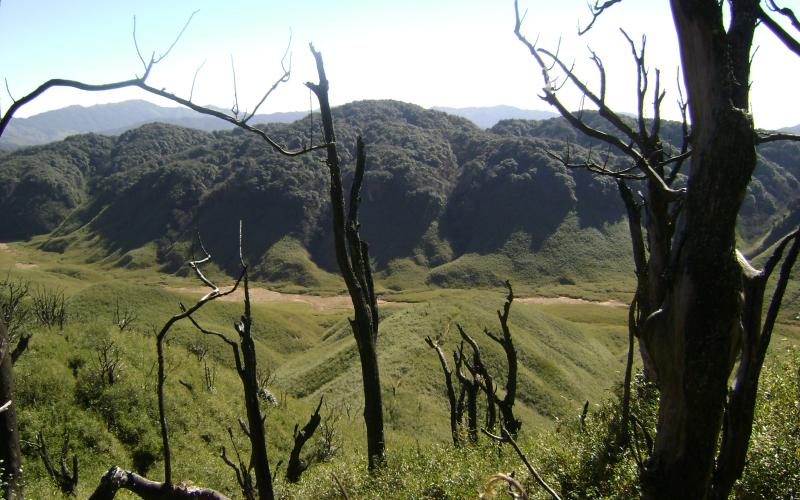 DZUKOU VALLEY