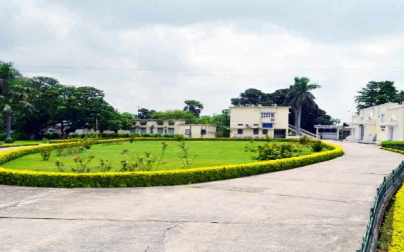 Nalanda Archaeological Museum