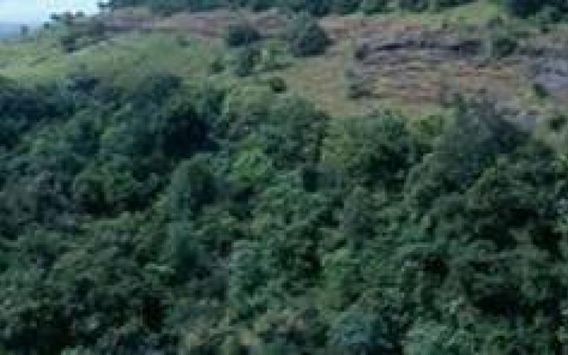 Vikarabad Reserve Forest Area 