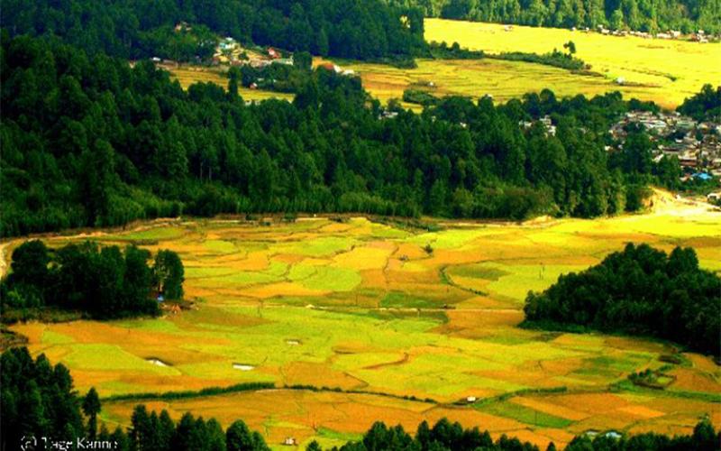 ZIRO (ARUNACHAL PRADESH)