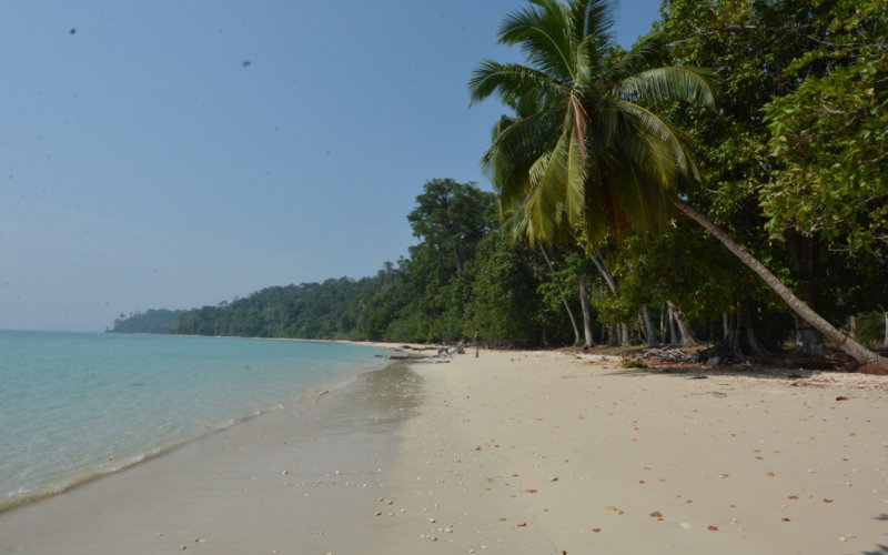 Lalaji Bay Beach, Long Island