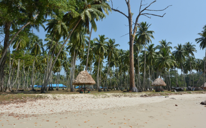 Lalaji Bay Beach, Long Island