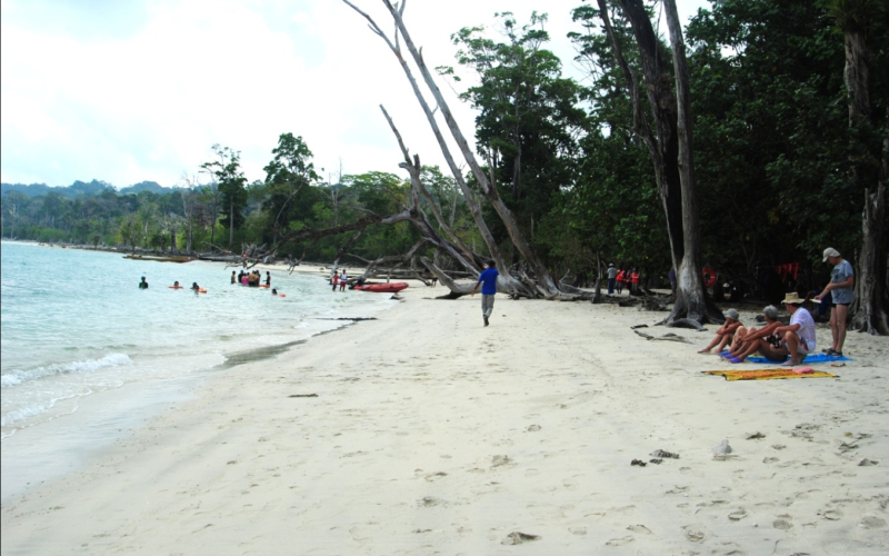 Radha Nagar Beach, Swaraj Dweep