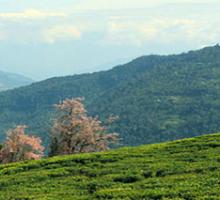 Sikkim