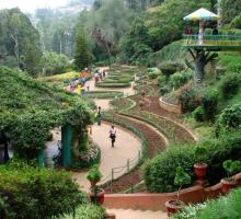 BOTANICAL GARDEN, OOTY