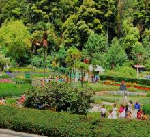 BRYANT PARK, KODAIKANAL