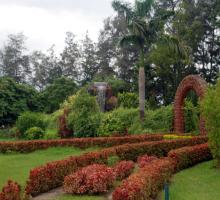 Hirwa Van Garden