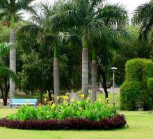 Indira Park, Hyderabad