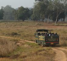 Kanha National Park
