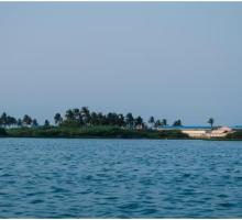 MUTTUKKADU BACKWATERS BOATING