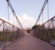 Pobitora Wildlife Sanctuary