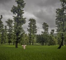 Purna Wild Life Sanctuary