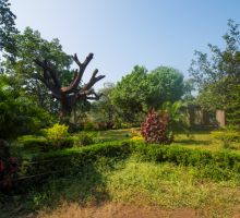 Sanjay Gandhi National Park