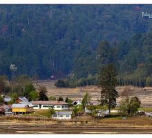 ZIRO (ARUNACHAL PRADESH)