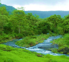 Melghat Tiger Reserve